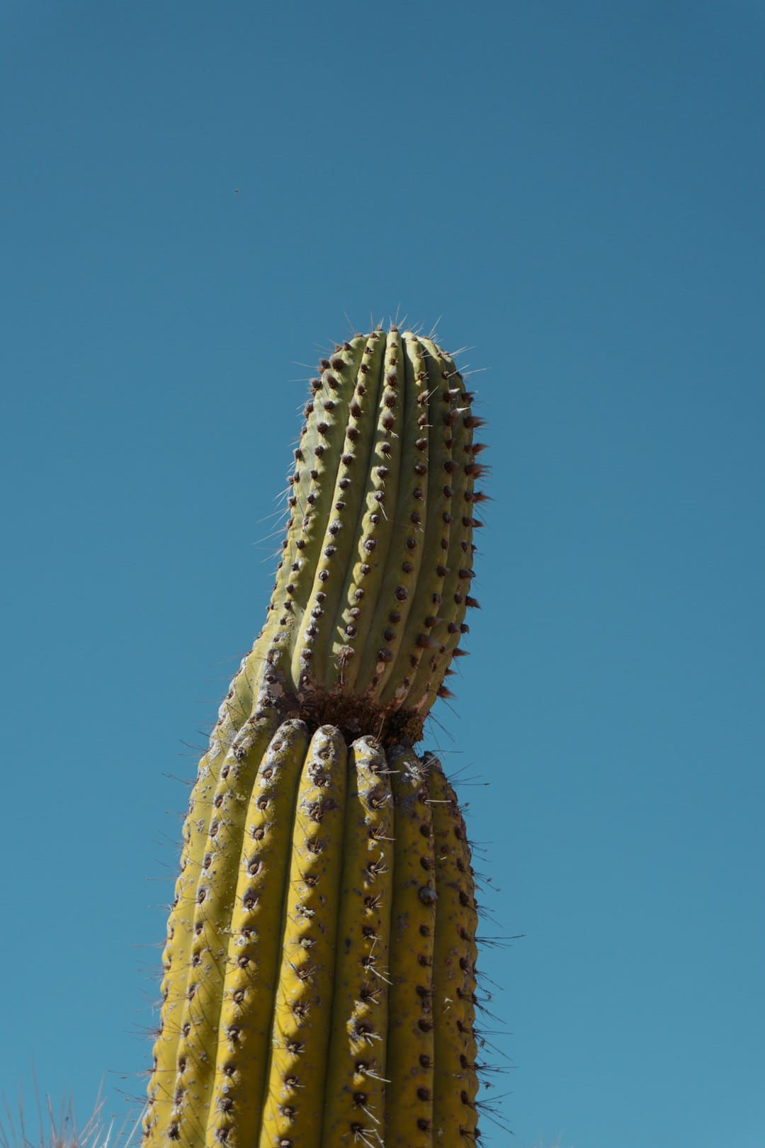 https://p1.img.cctvpic.com/photoworkspace/contentimg/2025/09/06/2025090610053811759.png